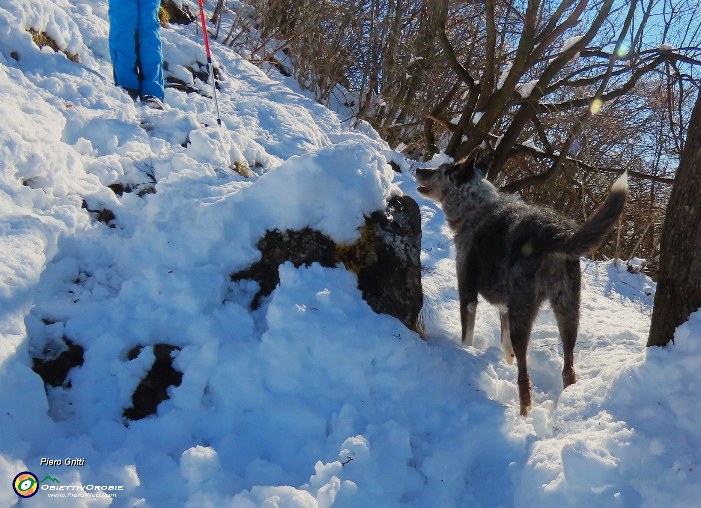 40 Bell'incontro con Zara.JPG